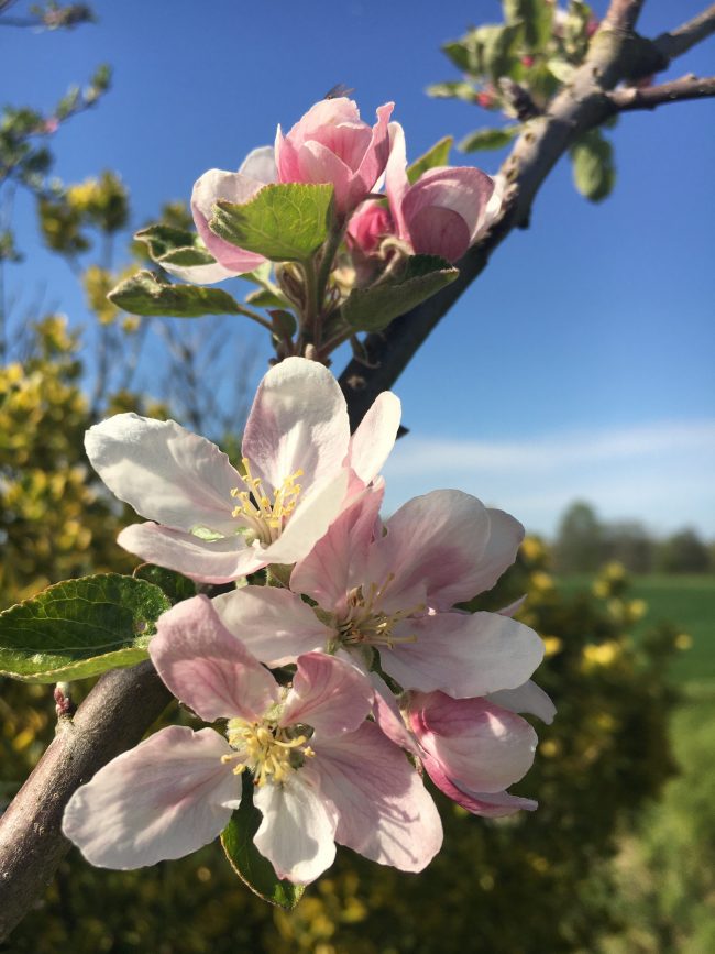 image_f29be48a-f320-4018-ad70-63d680eb1ddb.img_5892